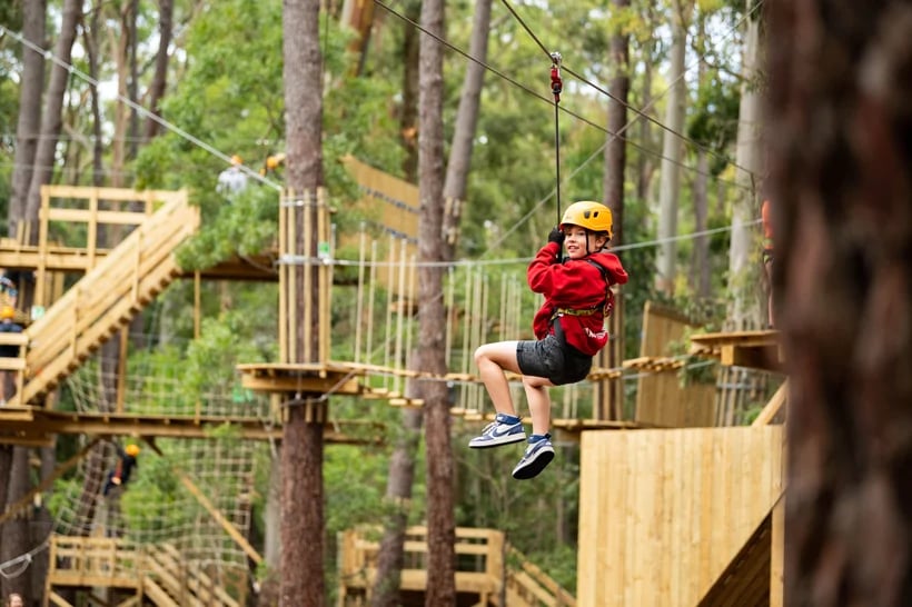 Treeclimb child on zipline